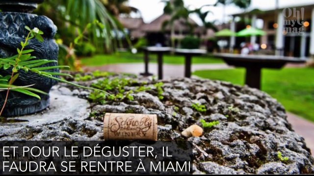 Le vin à l'avocat, ça vous tente ?