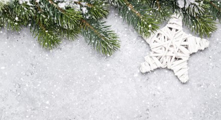 On vous explique comment créer une étoile enneigée