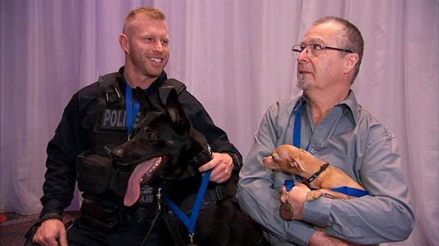 Deux chiens entrent au Panthéon des animaux au Québec !