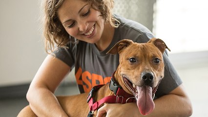 3 bonnes raisons de devenir famille d'accueil pour animaux