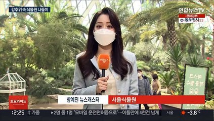 추위 걱정 없는 식물원…"방역 수칙 준수 필수"