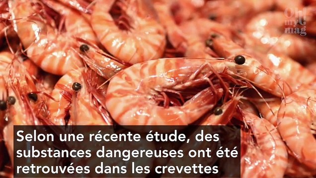 De la cocaïne a été retrouvée dans des crevettes