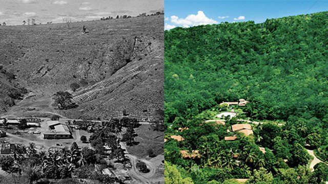 En 20 ans, un couple a replanté 4 millions d'arbres sur une terre dévastée
