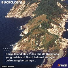 5 Pulau paling berbahaya di Dunia, Jutaan Ular berbisa ada disini, ada dari Indonesia