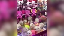 CHOC : des chiots vivants à attraper dans un jeu d’arcade en Chine (VIDÉO)