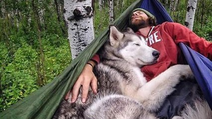 Ces photos vont vous donner envie de partir à l'aventure avec votre chien !