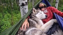 Ces photos vont vous donner envie de partir à l'aventure avec votre chien !