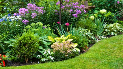 Jardin : ces astuces étonnantes à suivre sur le champ ! (Vidéo)