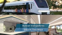 Anuncian vacantes de hasta 25 mil pesos para construcción de obras del Tren Maya