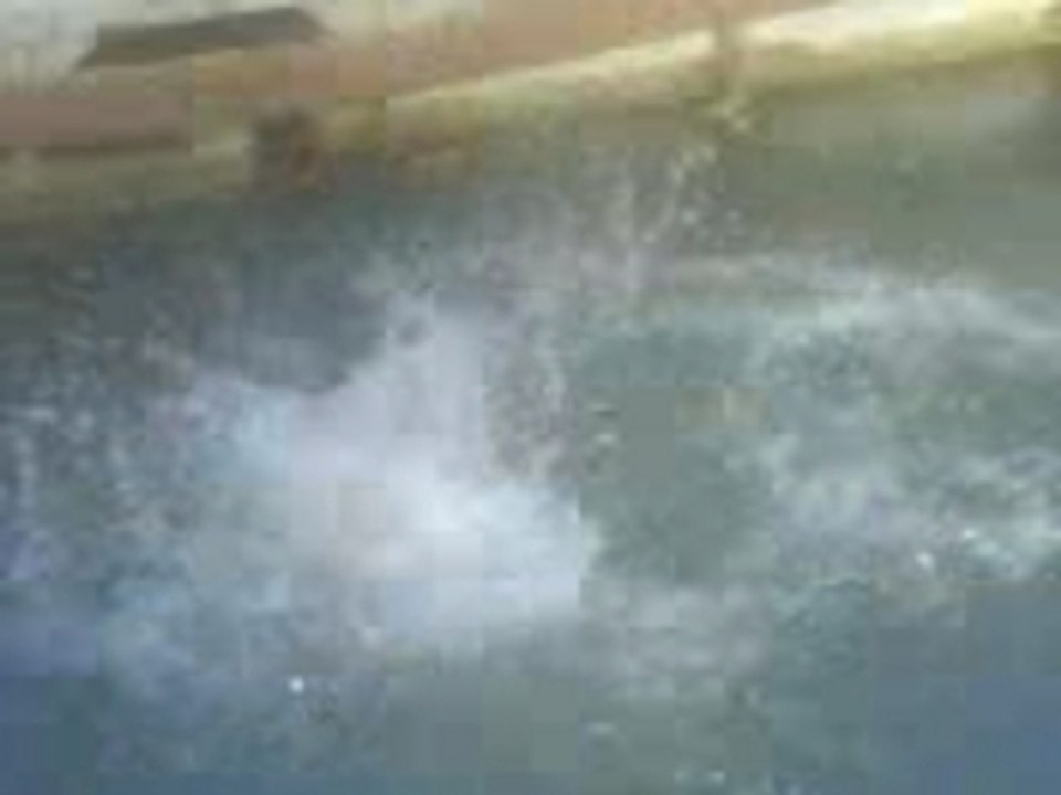 MOV00352