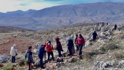 لبنان: الأرز ينمو من جديد في دولة الأزمات
