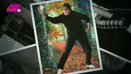 मुंबई में 1 या 2 नहीं इतने बंगलों के मालिक हैं Amitabh Bachchan | NN Bollywood
