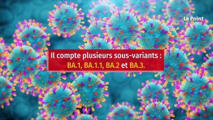 L’OMS révèle la présence d’un sous-variant d’Omicron dans 57 pays