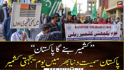 Kashmir Solidarity Day being observed