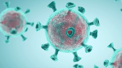 Le coronavirus avec nous pour toujours d'après une dirigeante de l'OMS