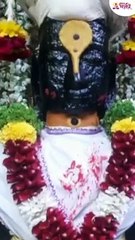 विठ्ठल रुख्मिणी विवाह सोहळा दर्शन for shorts