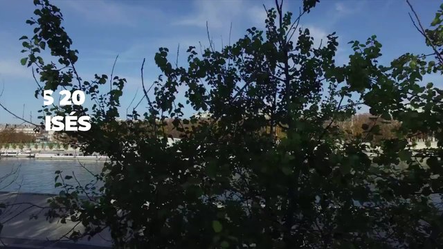 Distance de déplacement autorisé, voilà comment calculer les 20 km autorisés