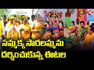 BJP MLA Etela Rajender Visits Samakka & Saralamma In Thanugula | Jammikunta | V6 News