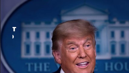 "Tortue obèse" : la presse tacle Donald Trump, les internautes réagissent (PHOTOS)