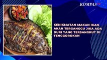 Bagaimana Jika Duri Ikan Tertelan? Berikut Penjelasannya