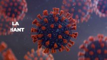 Covid-19 : à quel moment le variant anglais va “prendre le dessus” en France ? Cet infectiologue répond