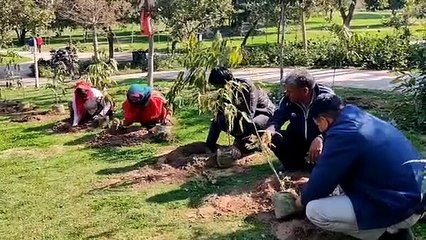 जेडीए ने सेन्ट्रल पार्क में लगाए 2000 पौधे