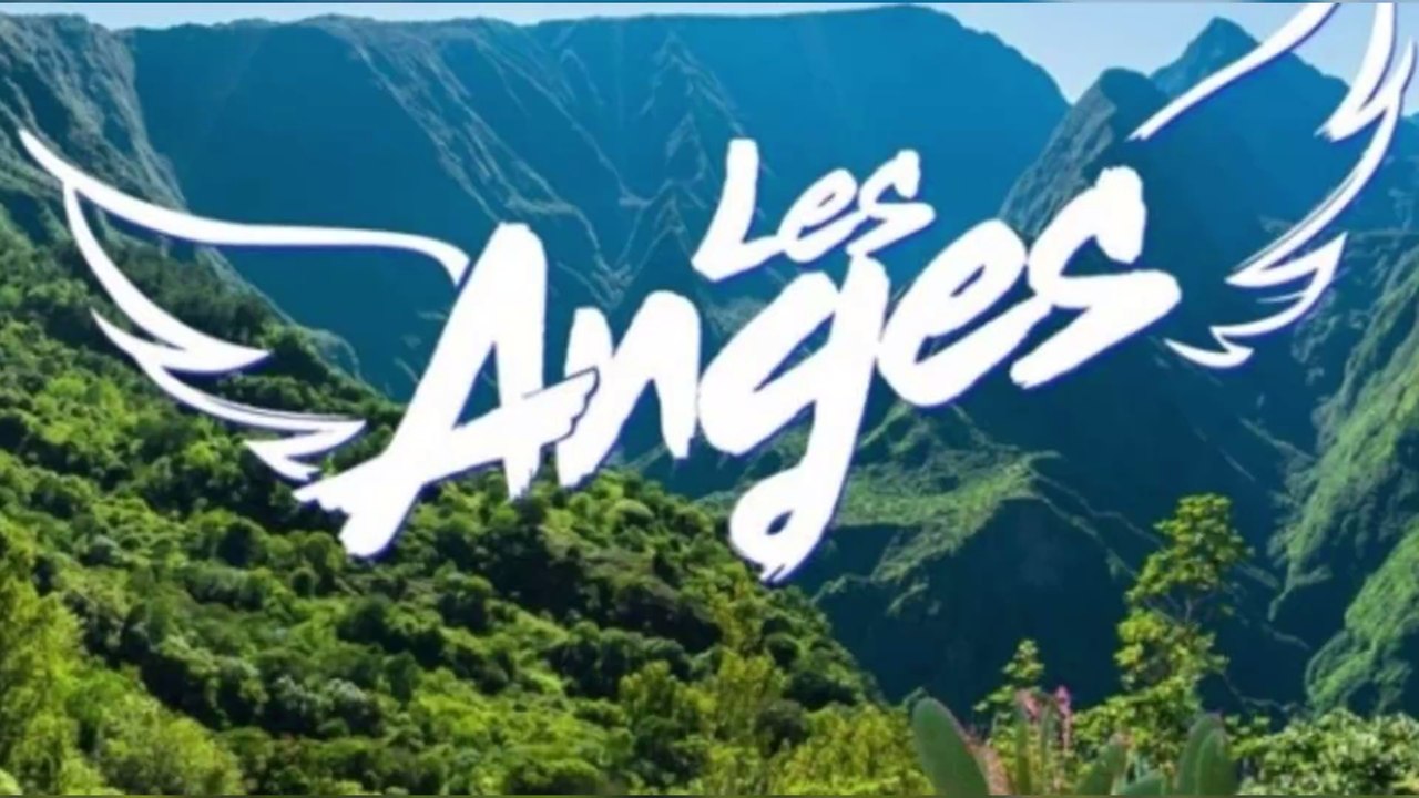 Télé-réalité : des candidats de l'émission "Les Anges" auraient agressé un maire, à la Réunion