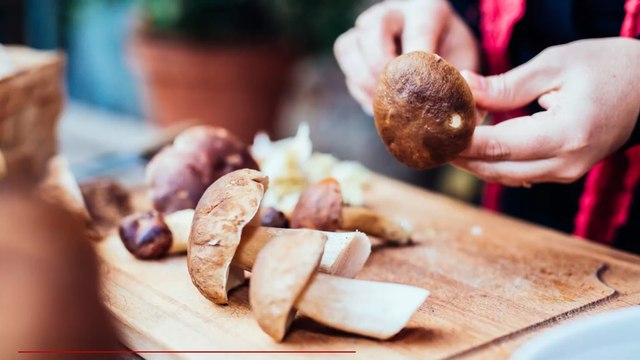 Cet homme s'injecte des champignons hallucinogènes dans les veines, découvrez les conséquences