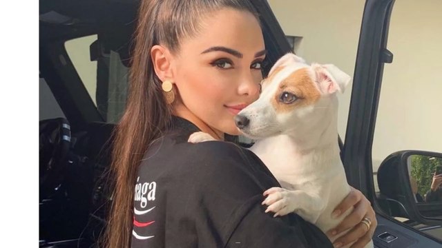 Nabilla en procès ? Elle brave la justice pour récupérer sa chienne Pita