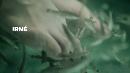 Sa fish pédicure tourne au cauchemar