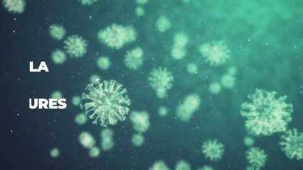 Covid-19, cet antiviral utilisé pour la grippe serait capable de stopper la transmission du virus