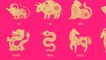 Serpent : tout ce qu'il faut savoir sur ce signe chinois