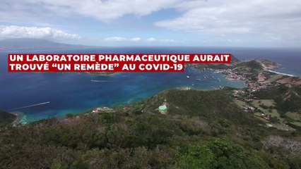 Covid-19 : quelle est cette plante anti-Covid dont tout le monde parle ?