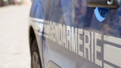 Insolite : convoqué à la gendarmerie, il s'y rend avec un lama ! (PHOTOS)