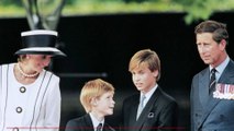Hommage à Diana : Harry et William 