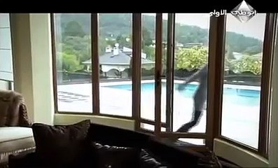 مسلسل وادي الذئاب الجزء الرابع الحلقة 14