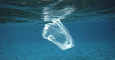 Chilean Engineers Have Invented An Environmentally-Friendly Plastic Bag That Dissolves In Water