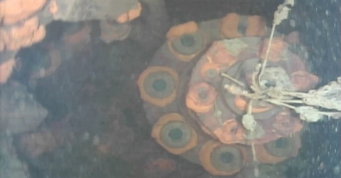 A Robot Has Managed To Film The Depths Of A Damaged Reactor At The Fukushima Power Plant