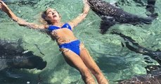 Instagram Model Attacked By A Shark While Posing For A Beach Photoshoot