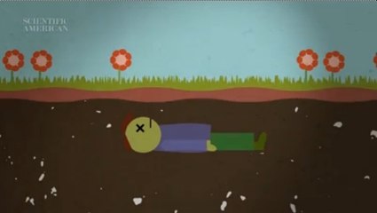 Have You Ever Wondered What Will Happen To Your Body After You Die? This Video Explains...