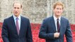 This Is The Real Reason Harry And William Are Boycotting The World Cup