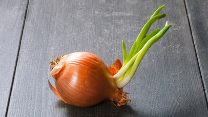 अंकुरित प्याज खाने से क्या होता है। अंकुरित प्याज खाना सुरक्षित है या नही | Boldsky