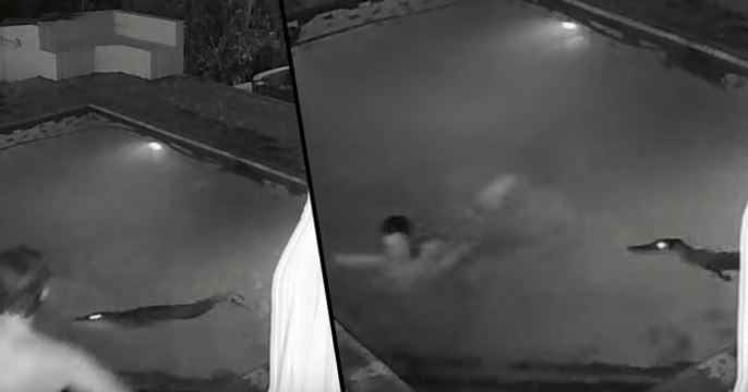 This Couple Were Having A Romantic Late Night Dip... Until They Were Interrupted By Something Terrifying