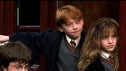 Harry Potter : avec qui les acteurs sont-ils en couple ?