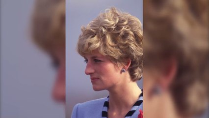 Prince Harry : déjà de retour aux États-Unis, 24 heures après l'hommage à Lady Diana