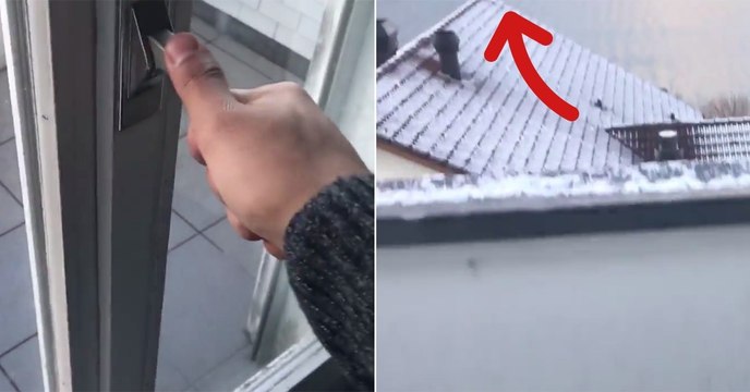 He Opened The Window Of His Hotel Room And Saw Something Unbelievable