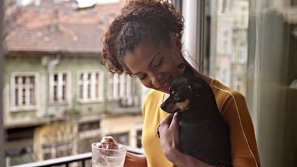 5 remèdes anti-puces naturels pour son chien à faire à la maison !