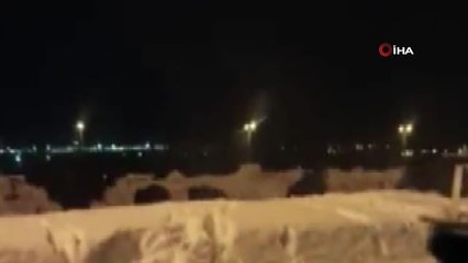 Yerleşim alanlarına inen yaban domuzu sürüsü böyle görüntülendi