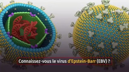 L’origine de la sclérose en plaques découverte ?