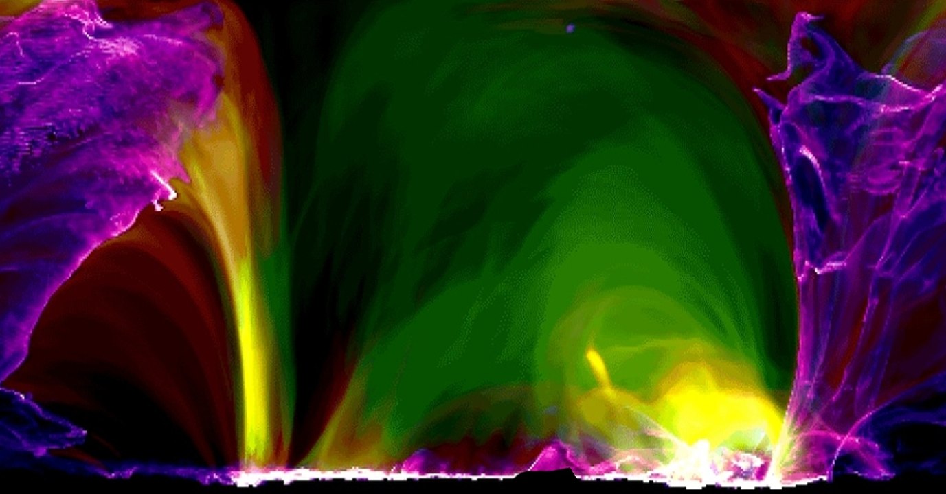 This Incredible Animation Shows The Life Of A S...